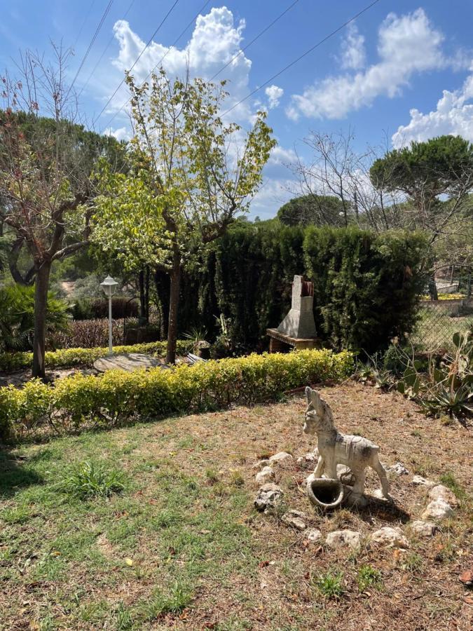 Villa Herlinda Costa Brava - With Swiming Pool Massanet De La Selva Екстериор снимка