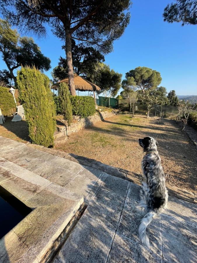 Villa Herlinda Costa Brava - With Swiming Pool Massanet De La Selva Екстериор снимка