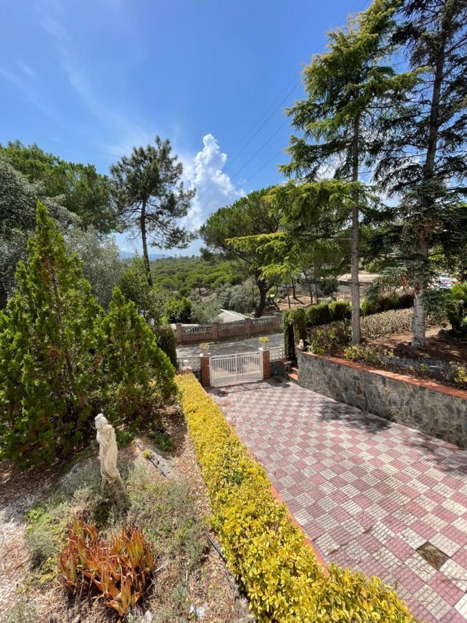 Villa Herlinda Costa Brava - With Swiming Pool Massanet De La Selva Екстериор снимка